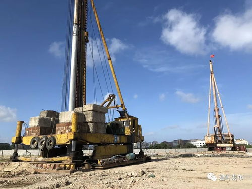 溫嶺創新工業用地“先租后讓”模式獲全省推廣，助力企業高效發展